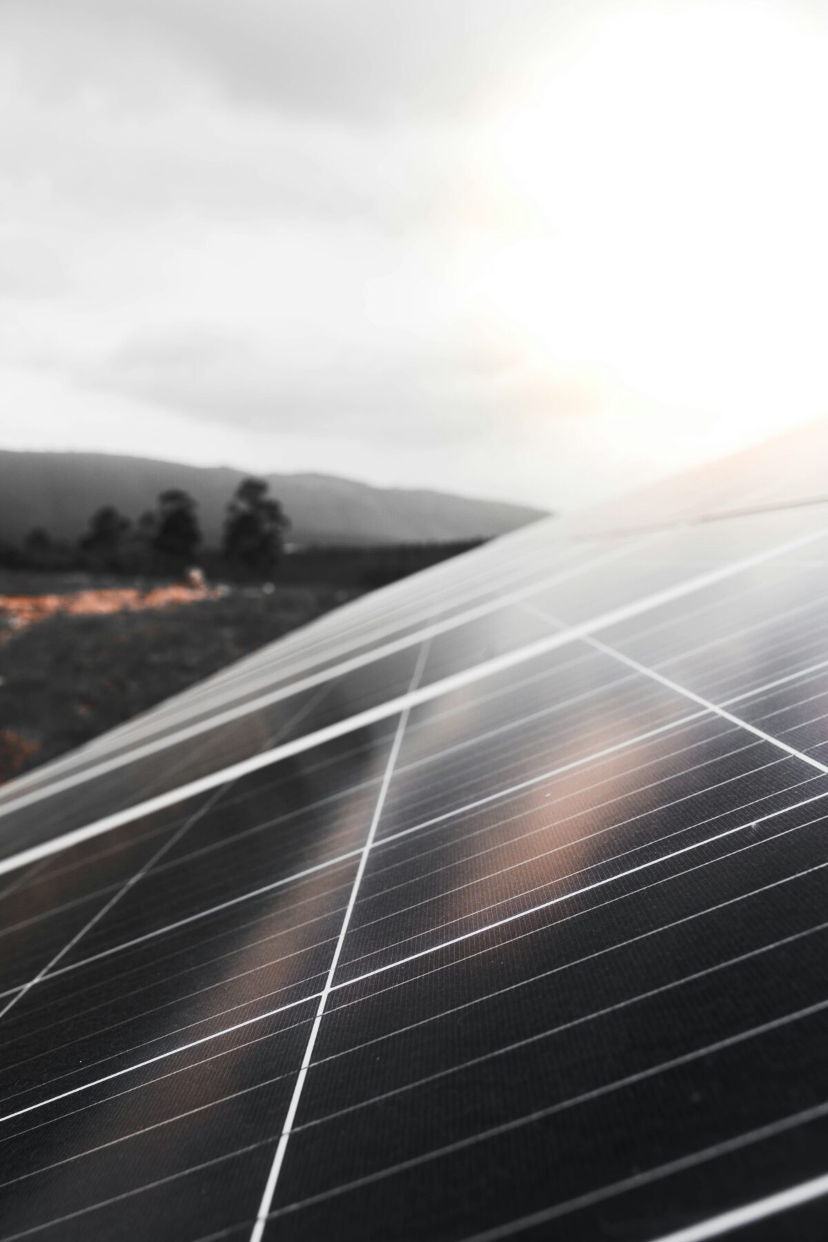 Detailaufnahme einer glänzenden Solarmoduloberfläche im Sonnenlicht, mit unscharfen Bergen und Bäumen im Hintergrund